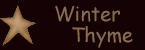 Winter Thyme E-Patterns
